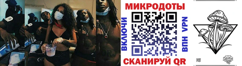 Галлюциногенные грибы Psilocybine cubensis  блэк спрут   Батайск 